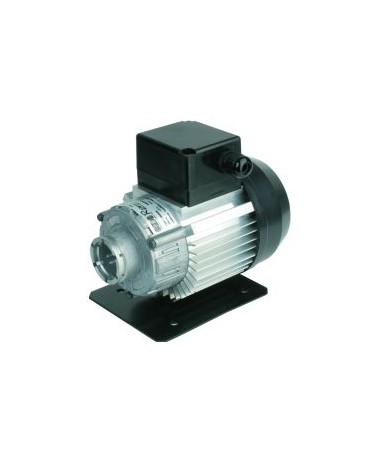 MOTOR PARA BOMBA ABRAZADERA 230V 50/60Hz 300W