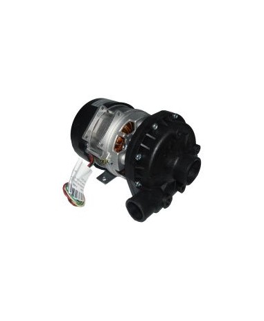 BOMBA 230V 0.75HP CF50